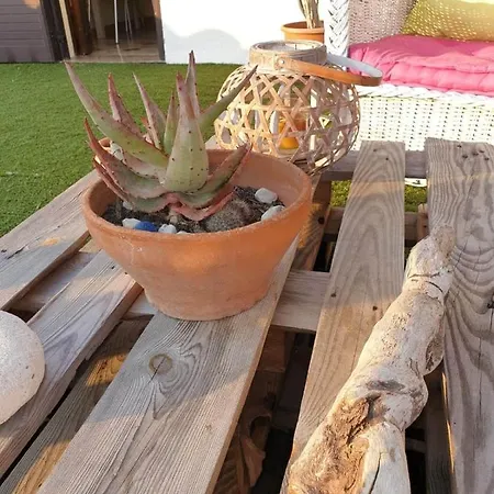 Summer Lavinia Holiday home *